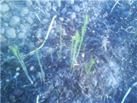 4c8223f4-Picture 028.jpg